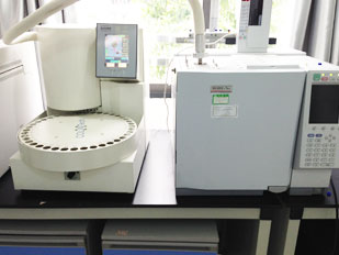 日韩人妻无码精品系列