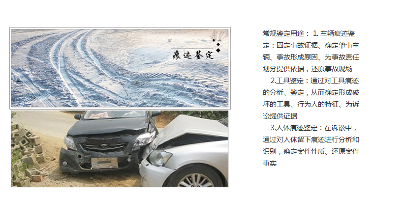 日韩人妻无码精品系列