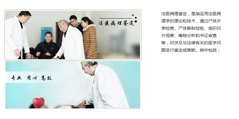 日韩人妻无码精品系列